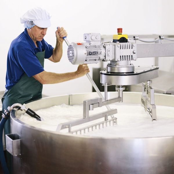 A worker inside a factory works with an industrial machine that stirs a milk product. 