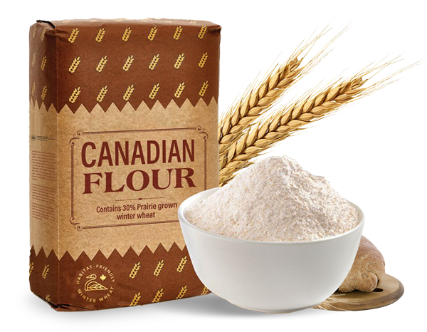 A bag of Canadian flour next to a bowl of white flour, and a bread roll.