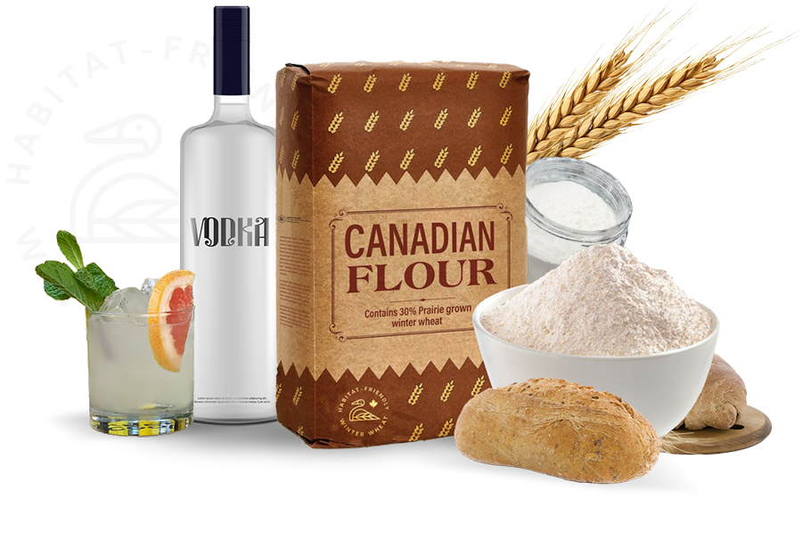 Products all made with winter wheat: Vodka and a vodka cocktail, Canadian flour, grains, and breads.