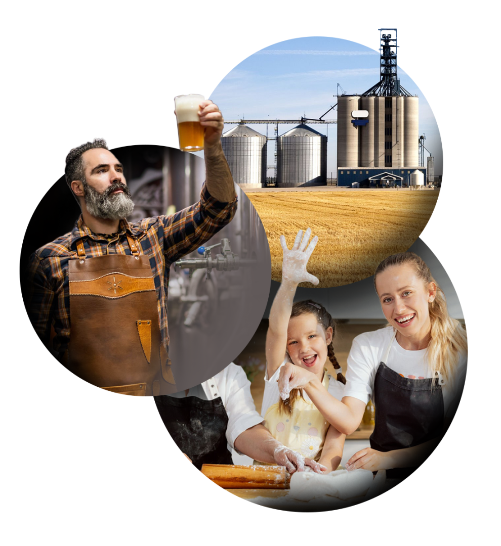 A collage of three images: a grainery, a man examining his freshly brewed glass of beer, and a family making bread at home.