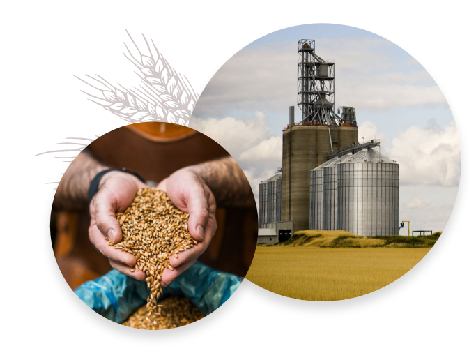 A collage of a grain mill and hands holding grains.